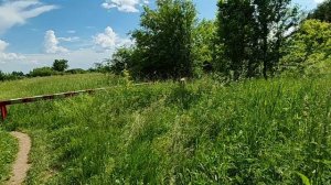 Знакомой тропинкой... ☀️