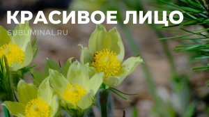 Красивое лицо. Омоложение кожи лица. Фейслифтинг | Саблиминал