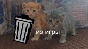 КЛИП КОТЯТ - Удалите Нас Из Игры ❌