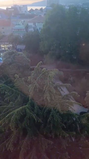 ЛАЗАРЕВСКОЕ 26 смотреть онлайн