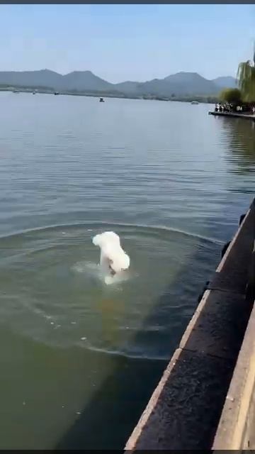 💧🌊КУПАЕМСЯ🌊💧