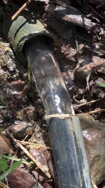 залипательно смотреть онлайн