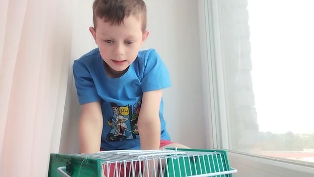 1000001612.mp4 смотреть онлайн