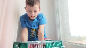 1000001612.mp4