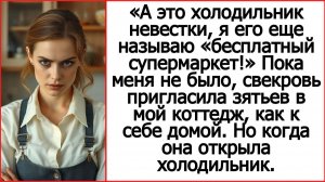 Истории из жизни|Холодильник невестки|Аудио рассказы Андрея Белого|Аудиокниги|Жизненные истории