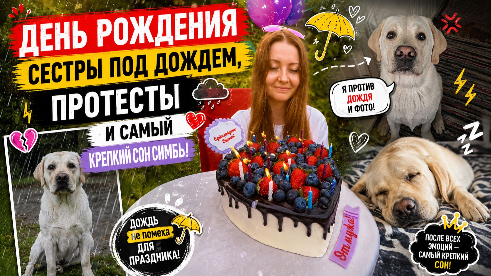 День рождения сестры под дождем, протесты и самый крепкий сон Симбы 🐕💤