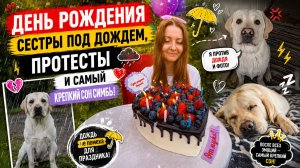День рождения сестры под дождем, протесты и самый крепкий сон Симбы 🐕💤