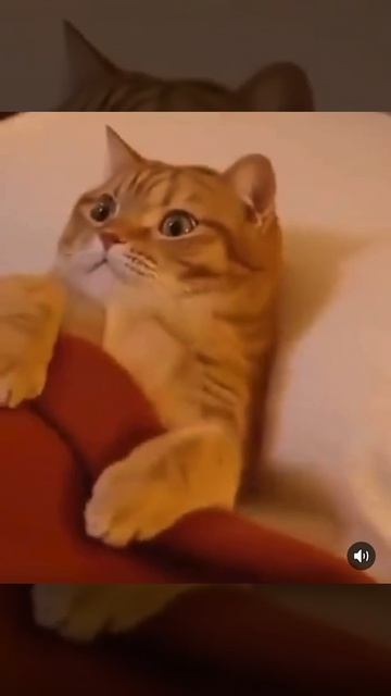 Ночной кошмар