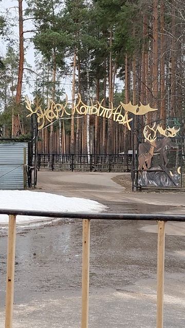 Ждём карету