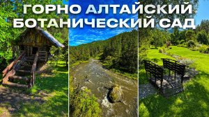 Горно Алтайский Ботанический сад, Алтай путешествие, Горный Алтай лучшие места, Алтай