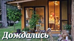 БОЛЬШОЙ СЕМЕЙНЫЙ ДЕНЬ НА ХУТОРЕ НАВОДИМ КРАСОТУ НА УЧАСТКЕ И СЧИТАЕМ НОВОРОЖДЕННЫХ ПЯТАЧКОВ