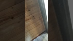 играем в прятки у Андрея