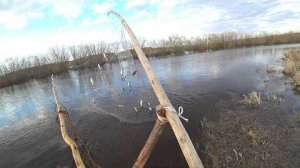 Рыбалка на Грыжу- Кривду. Старая дедовская снасть.