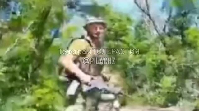 Когда пошел за грибами и нарвался на нашего «ждуна». смотреть онлайн