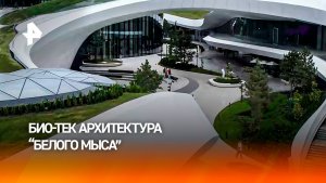 Как природный ландшафт сливается с окружающей средой в винном городе «Белый мыс»