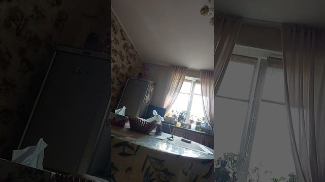 Вижу мой мир моими глазами смотреть онлайн