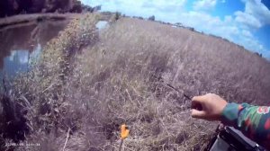 Сегодня порыбачил на поплавок и на донную снасть🎣 Прикормка Стерля (Лещ) Шоколад. Стерля (Ваниль).
