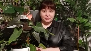 Успешное укоренение! Правильный выбор рахисов листиков для укоренения! Как я выбираю!