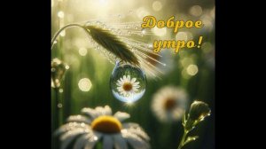Доброе утро, мои родные люди!