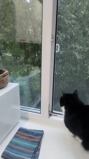 1000138831.mp4 смотреть онлайн