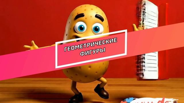 картошич 2