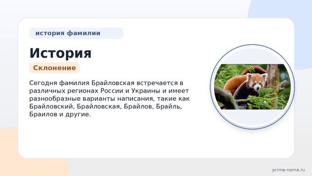 История и происхождение фамилии Брайловская: узнайте все о значении и склонении!