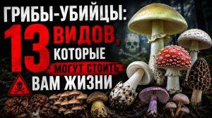 ГРИБЫ-УБИЙЦЫ: 13 Видов, Которые Могут Стоить Вам Жизни