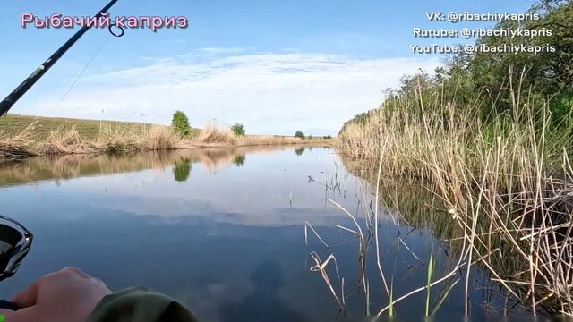 Рыбалка на щуку. Провел день на рыбалке. Есть результаты