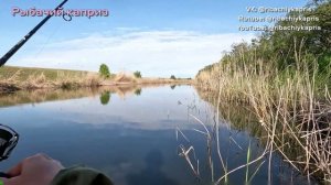 Рыбалка на щуку. Провел день на рыбалке. Есть результаты