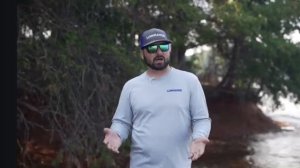 No source AT1, AT2, AT2XL нет источника active target