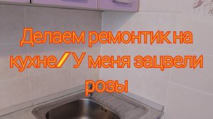 Делаем ремонтик на кухне/ У меня зацвели розы
