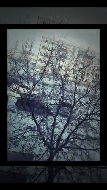 13 декабря 2017 г.