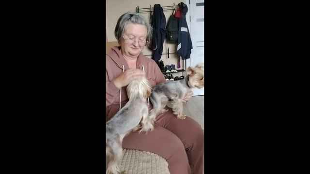 Собачья любовь😄
