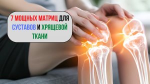 2,5 часа — 7 мощных матриц для суставов и хрящевой ткани