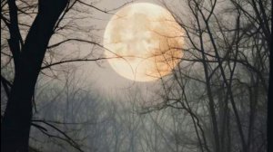 Я ПОКИНУЛ ОДНАЖДЫ СТРАНУ