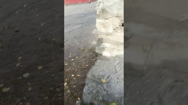 влог
