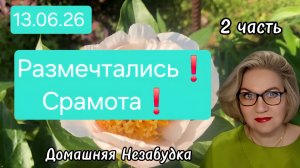 2 часть. Размечтались❗️Срамота❗️