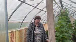 Секрет, как вырастить богатые урожаи.