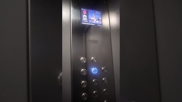 1000493136.mp4 смотреть онлайн