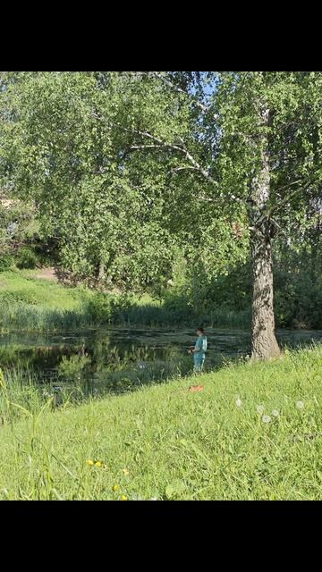 Хроники Солнечного леса. Июнь