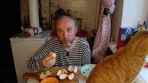 Завтрак с котями. Рыжуля и восточные традиции. Мукбанг. Обжор. Еда на камеру. Диета. Шизофрения.