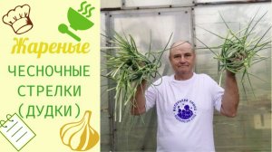 Жареные чесночные стрелки (дудки). ЛЕТНИЙ ДЕЛИКАТЕС!
