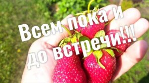 Делюсь хорошим настроением!!!