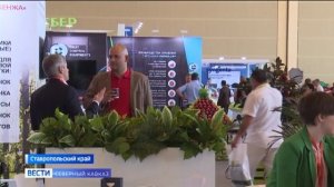 «PRO ЯБЛОКО 2026» в Минеральных Водах: подведены итоги всероссийской выставки садоводства