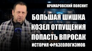 «Дойти до ручки», «тихой сапой», «голубая кровь», откуда взялись слова, которые мы часто говорим