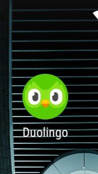 ИГРАЮ В DUOLINGO (ИЗУЧАЮ АНГЛИЙСКИЙ ЯЗЫК)