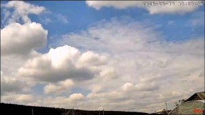 petal_20260614_144503.mp4