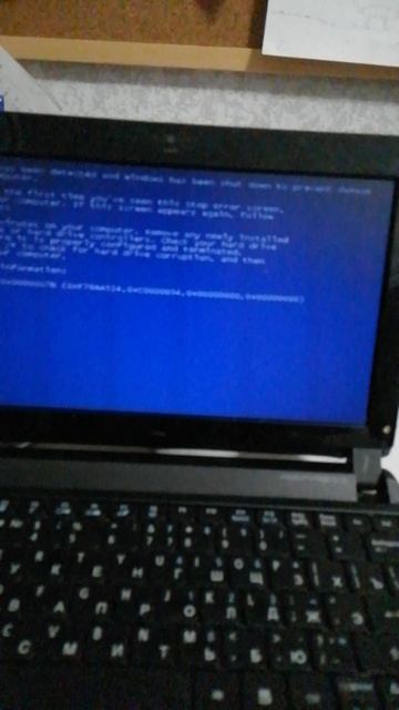 -windows xp