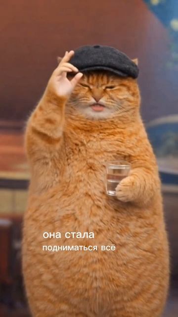 тост от кота. как вам такие видео ? смотреть онлайн