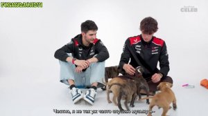Оливер Берман отвечает на вопросы с собачками. Formula 1